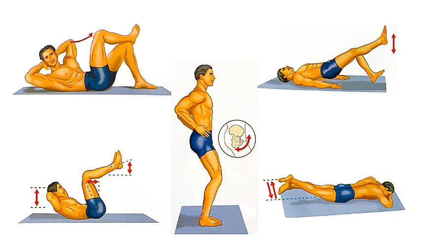 Penis increases the exercises