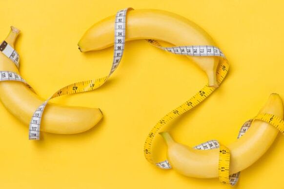 The dimensions of the penis